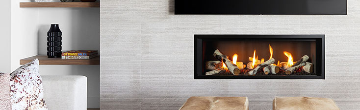 Valor Fireplaces Family Image